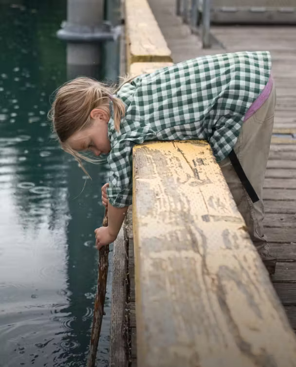 Stio Sales Shop -Stio Sales Shop 344d44bd 46bd 4917 aa1f 4afd69ce460b 240301 Cat Bucket Kids